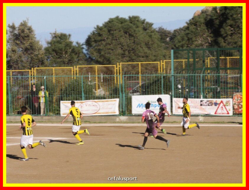 190310 Cephal_Torrenov 144_tn.jpg